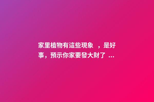 家里植物有這些現象，是好事，預示你家要發大財了！